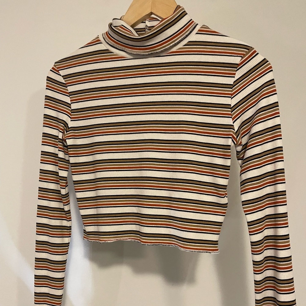 Subdued Striped Long Sleeve Cropped Turtleneck